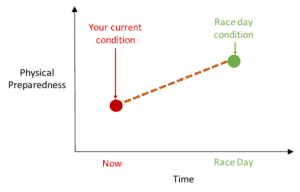 How To Build The Perfect Marathon Or Half Marathon Training Plan