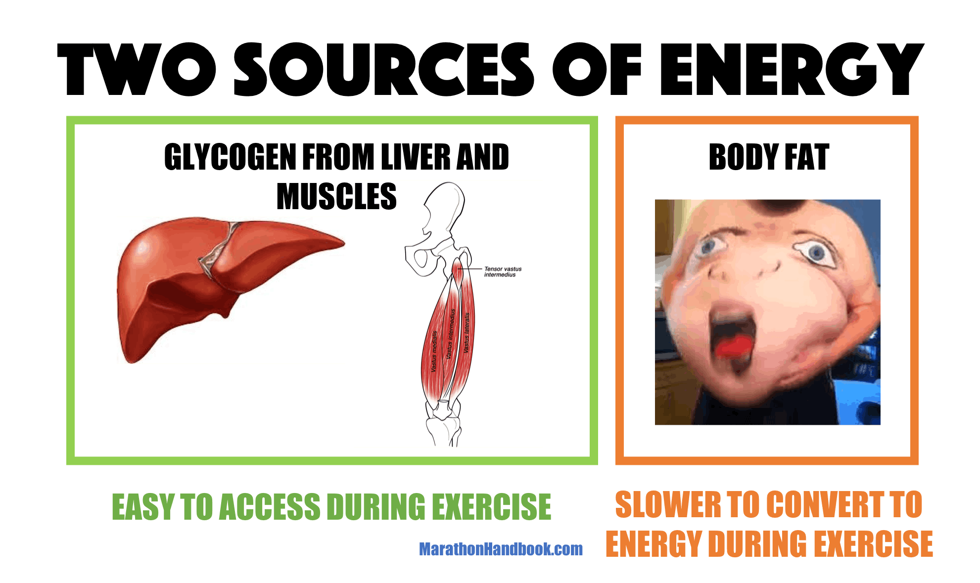 Hitting The Wall A Runner's Survival Guide