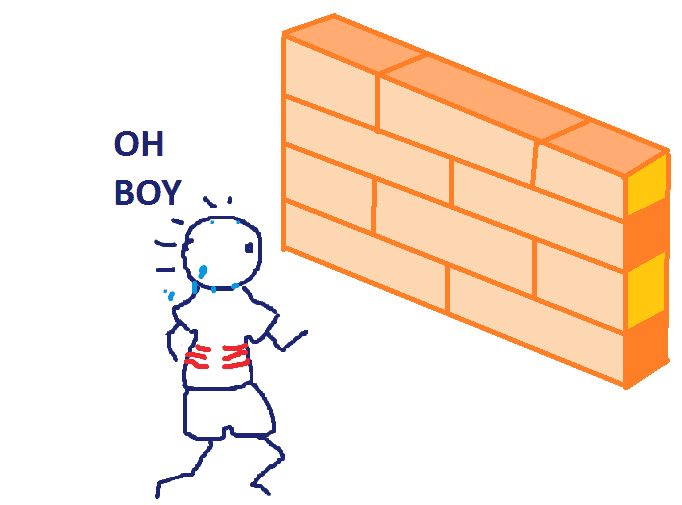 Hitting The Wall A Runner's Survival Guide