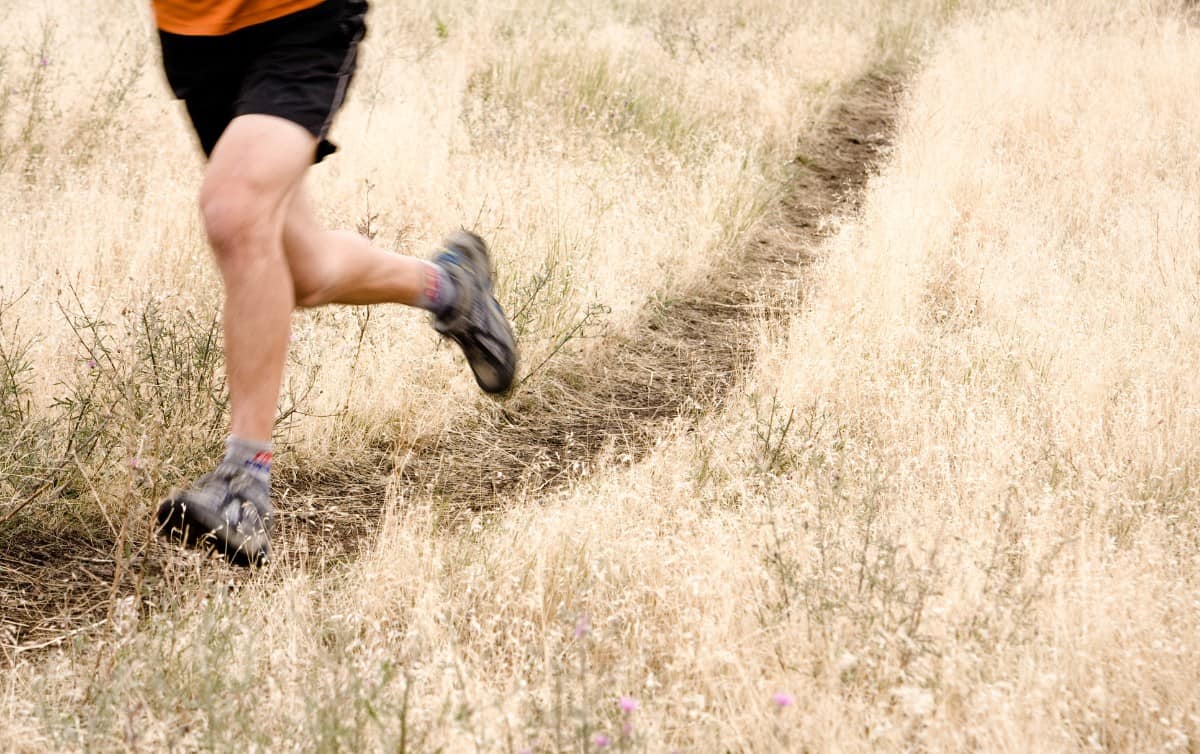 Running 6 Miles A Day Health Benefits Of A Daily 10K