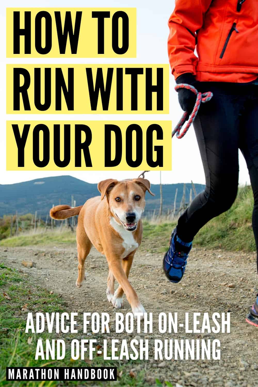 How To Run With Your Dog On And Offleash Run Training Guide