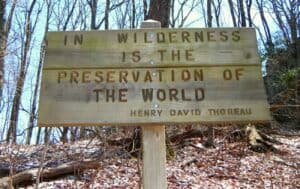 Meet The Barkley Marathons: Everything You Need To Know About 'The Race