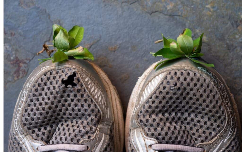 How Many Miles Are Running Shoes Good For?.