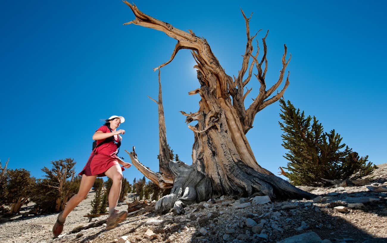 Women And Ultrarunning: Why Women Make Awesome Ultra Runners