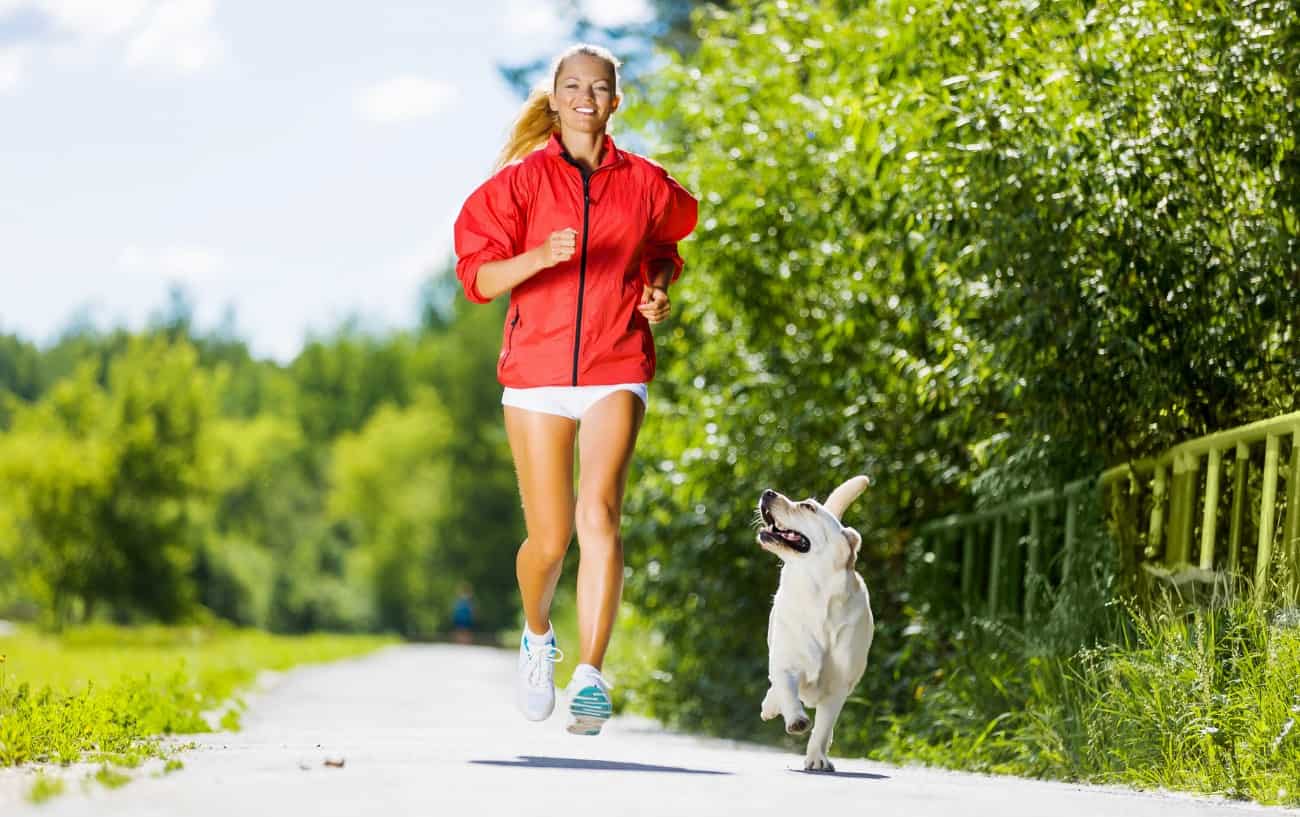 what dog breeds are best for running