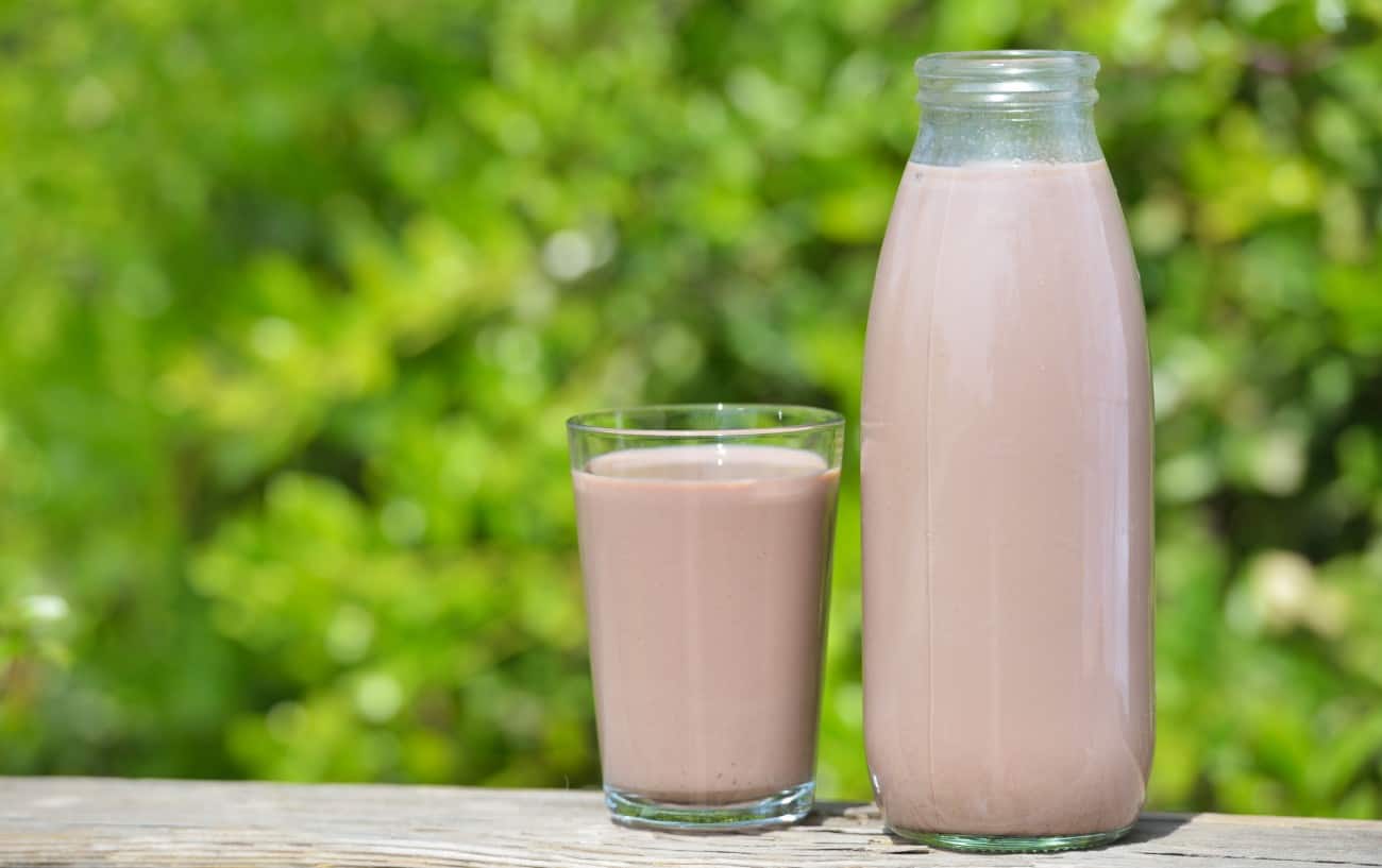 Chocolate Milk: Nutrition, Calories, Benefits, and Downsides