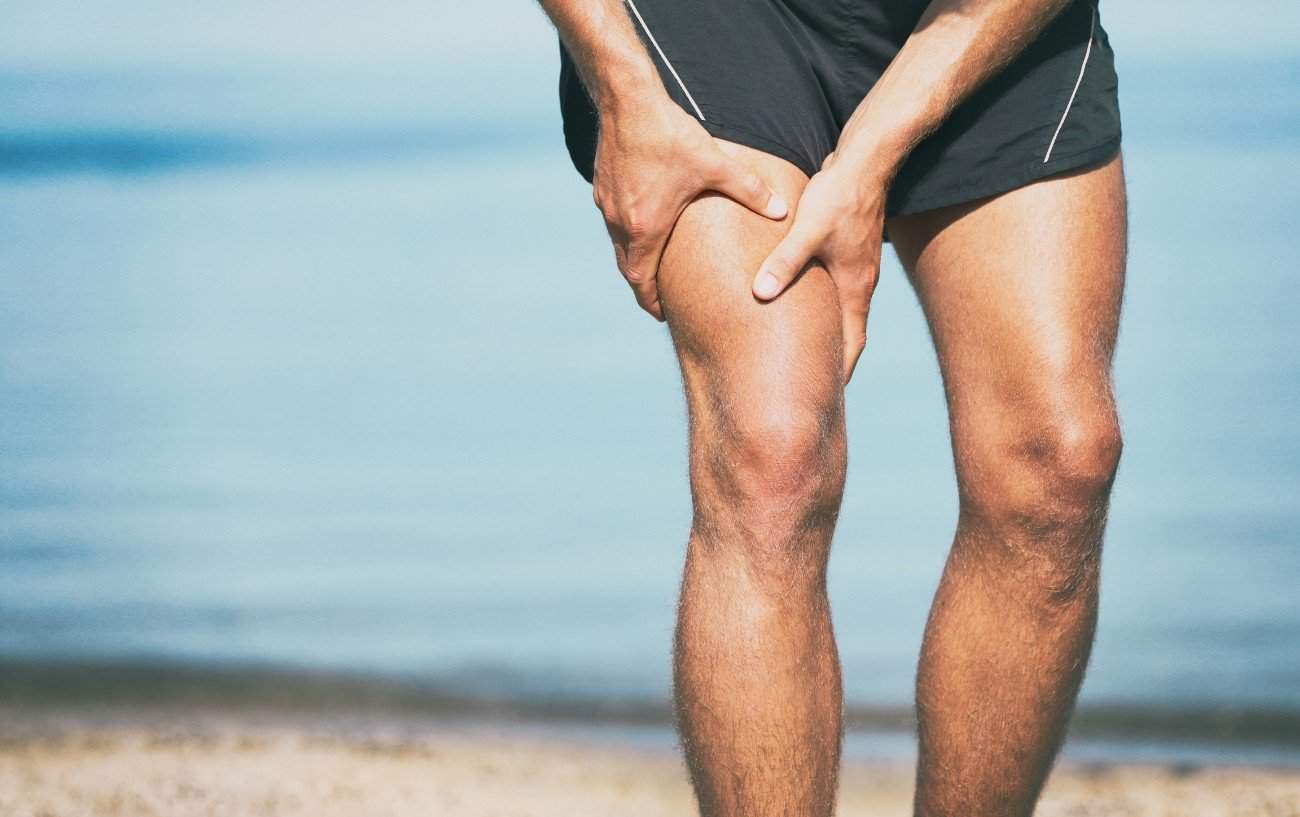 🔥Muscles of the Legs & Quads and calves, Guide