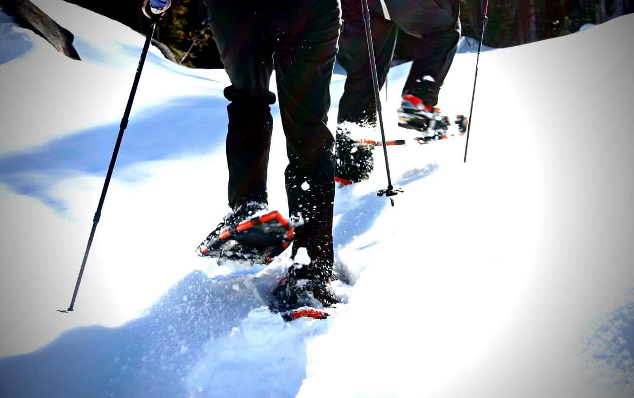 People snow shoeing.