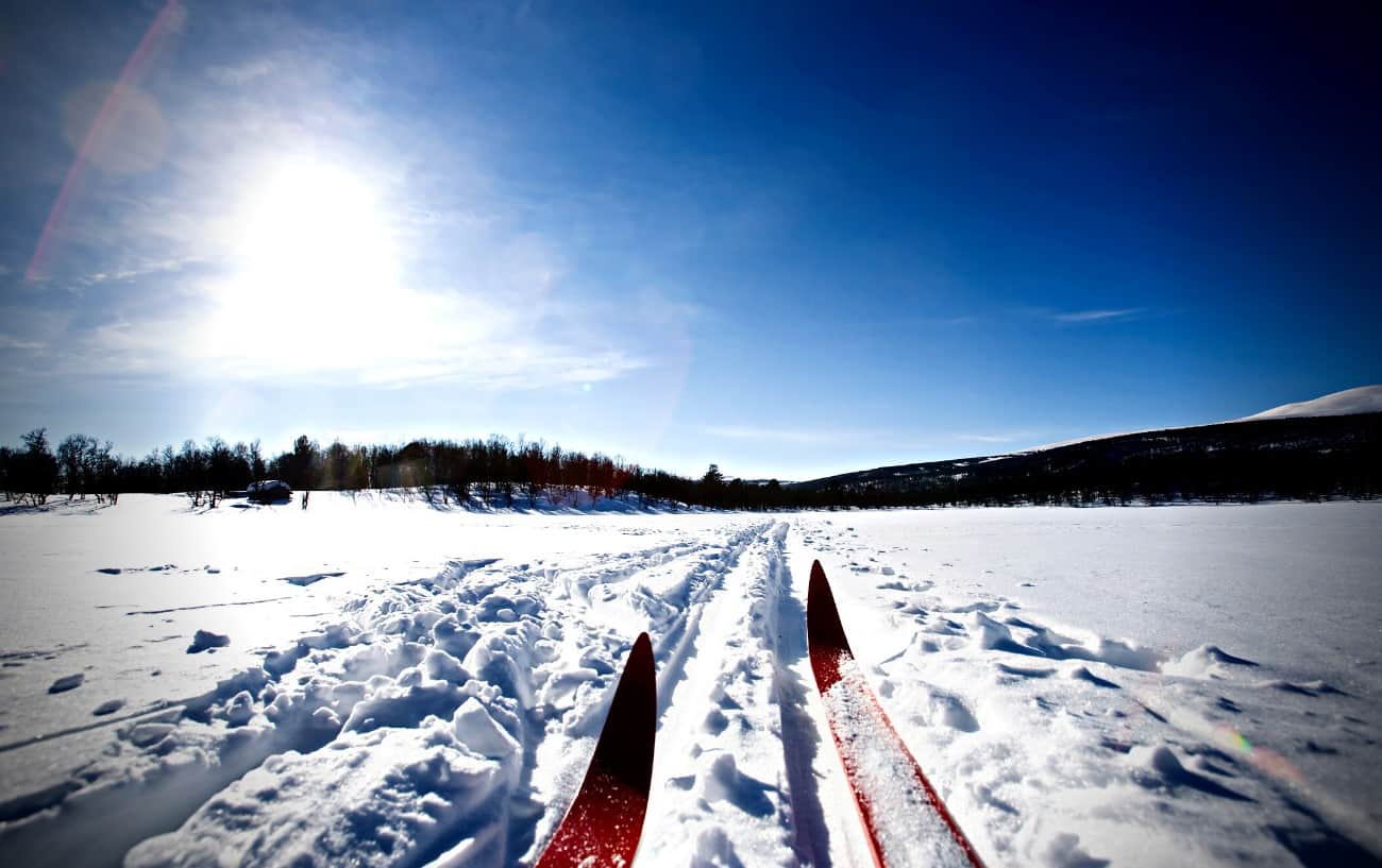 Las puntas de los esquís en la nieve.