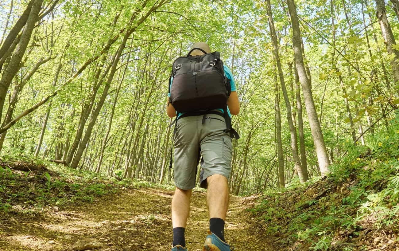 A person hiking in the woods, uphill.