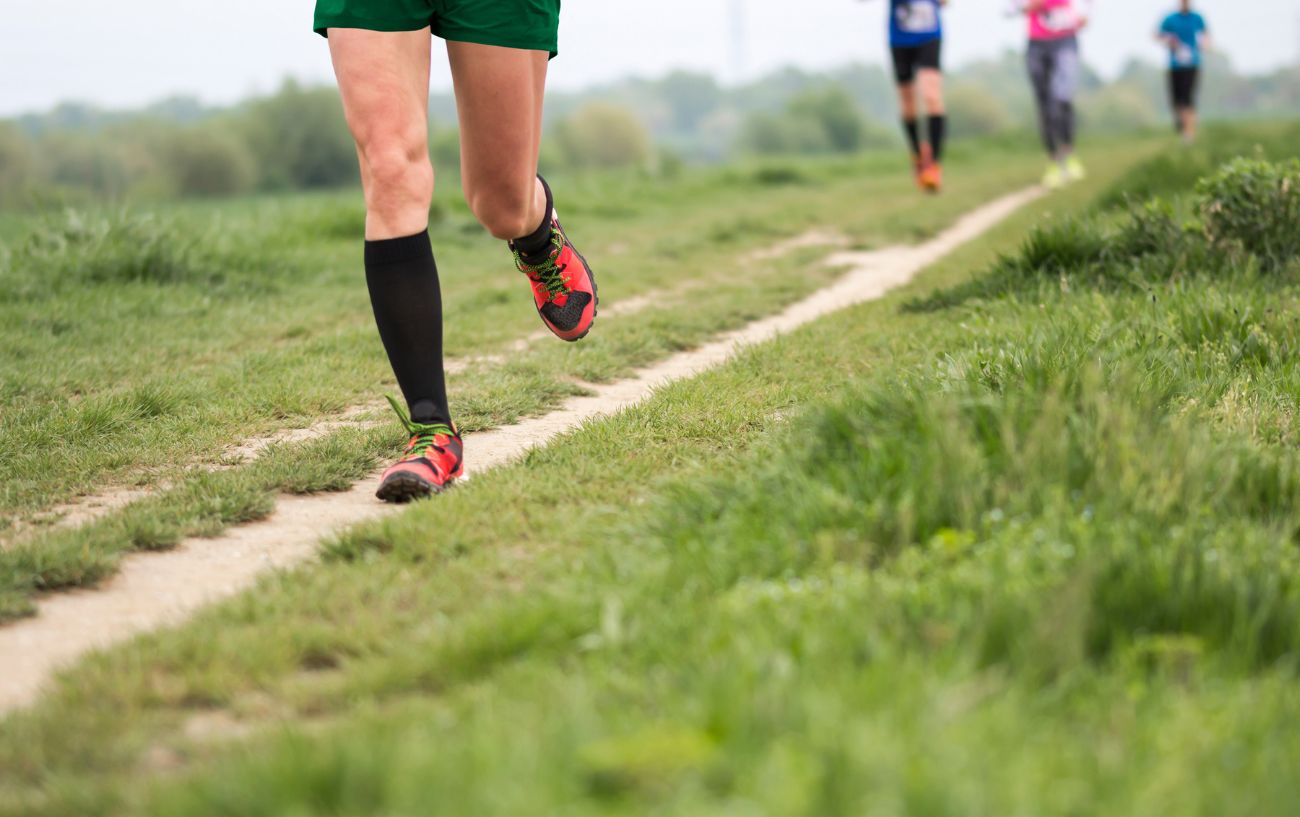 People running cross country in the grass.