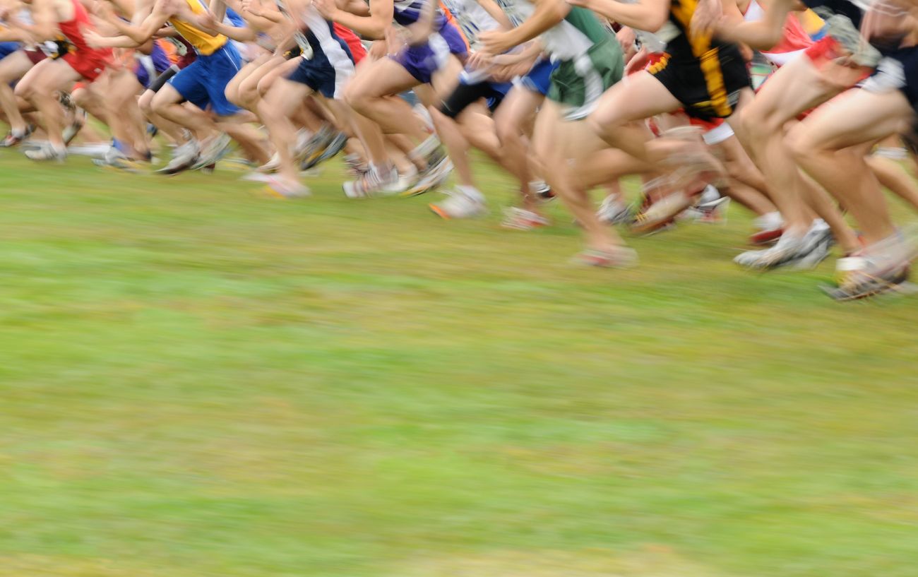 A cross country meet start line.