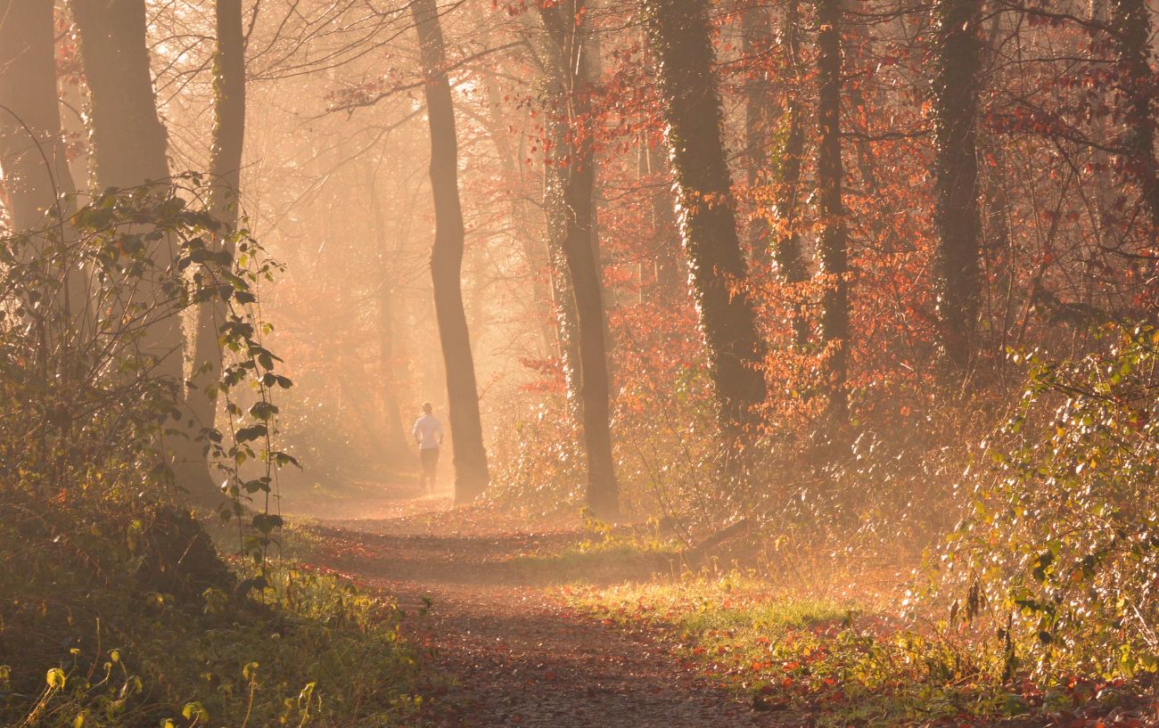 Una persona corriendo por la mañana en el bosque.