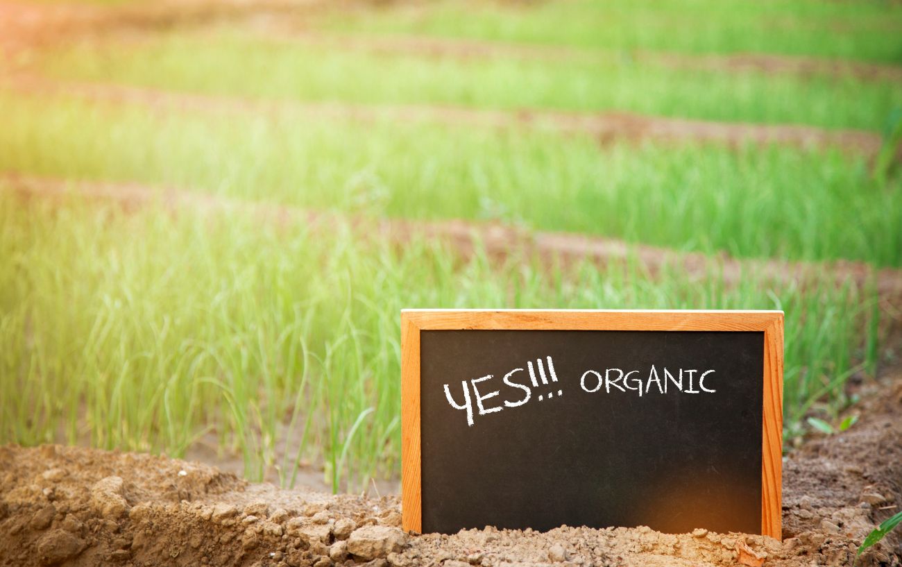 A sign in a field that says yes organic.