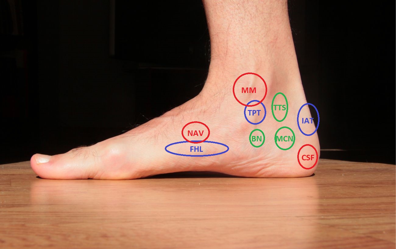 Running On A Sore Ankle Deals Emergencydentistry
