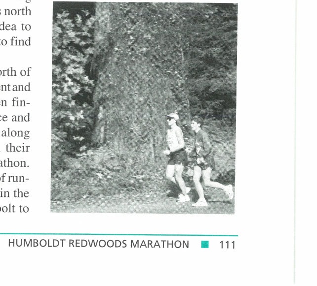 Runners along the redwood-lined course of the Humboldt Redwoods Marathon.