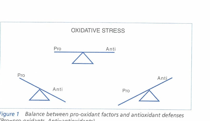 Figure 1  Balance between pro-oxidant factors and antioxidant defenses (Pro=pro-oxidants, Anti=antioxidants).
