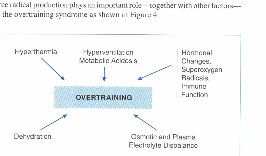 Figure 4  Overtraining syndrome.