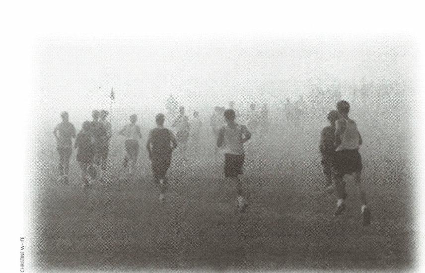 Why Do We Run Marathons, Anyway? 3