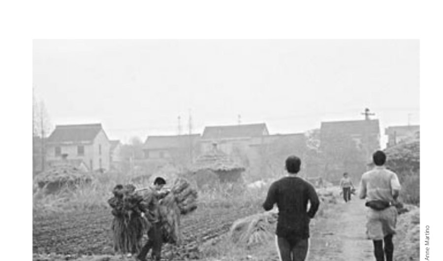 After being trapped in a concrete world all week, the author would take a taxi out of town to explore by foot the rice paddies and small farming villages in the countryside.
