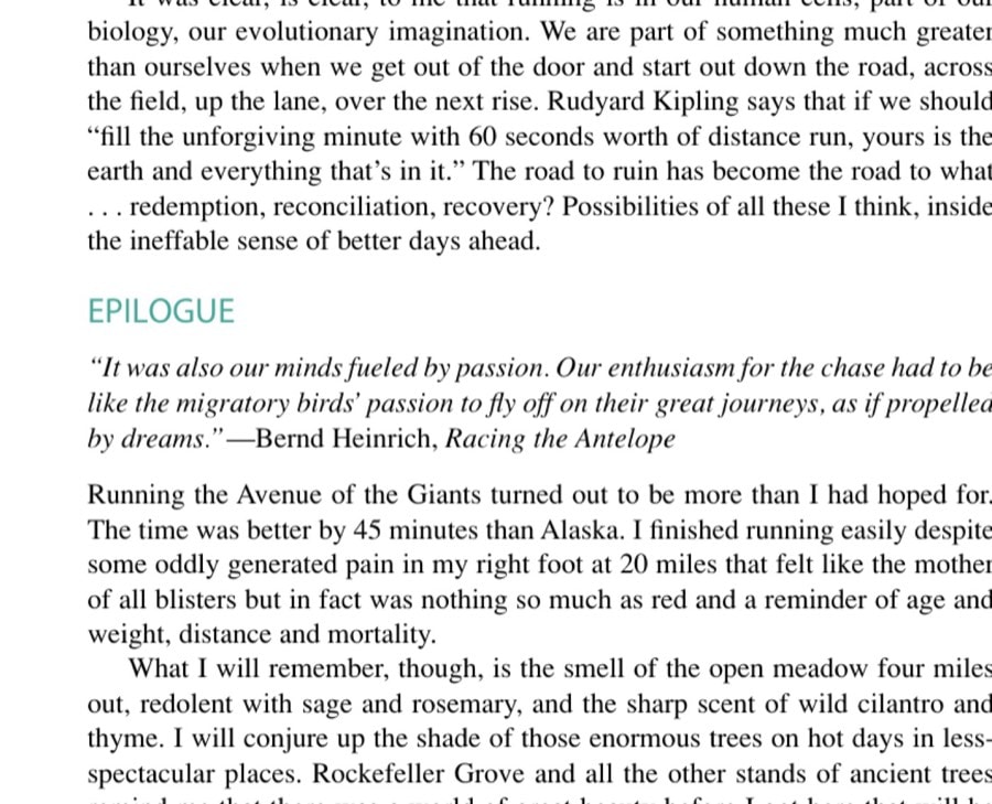 After finishing the Avenue of the Giants Marathon, the author runs in with a friend he made at the Mayor's Midnight Sun Marathon in Anchorage, Alaska.
