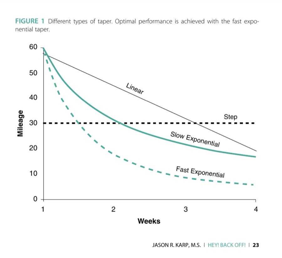 Hey!Back Off! 3 FIGURE 1 Different types of taper. Optimal performance is achieved with the fast exponential taper.