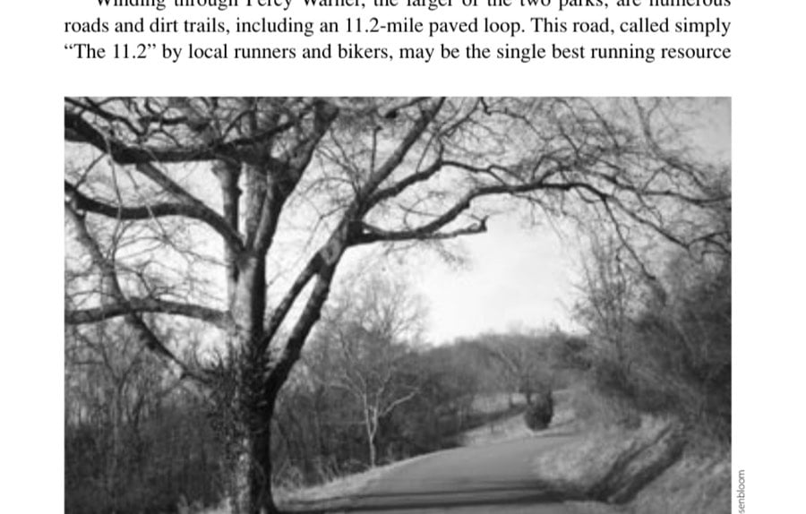 Flying With The Monkeys 13 The long and winding road that leads into the woods and up over the hills. No yellow bricks, but plenty of flying monkeys.