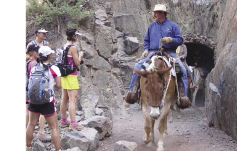 One Mile Deep 11 Runners and hikers must step aside and wait for mule trains to pass.