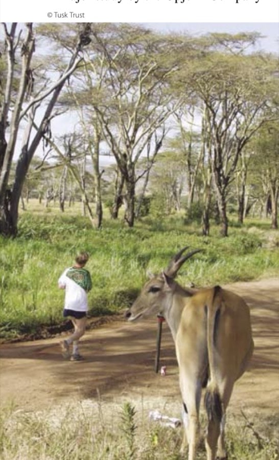 Health Advice For International Marathons 13 The Safaricom Lewa Marathon takes place in the 62,000-acre Lewa Wildlife Conservancy at the foot of Mount Kenya in central Kenya.