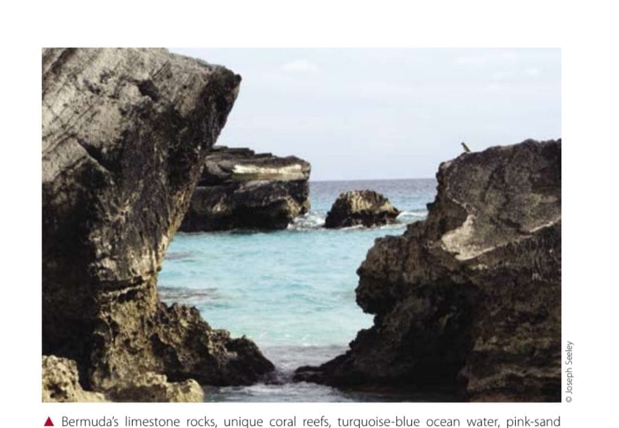 The Bermuda Triangle Challenge 14 Bermuda's limestone rocks, unique coral reefs, turquoise-blue ocean water, pink-sand beaches, and year-round colorful flora create a natural multisensory feast.