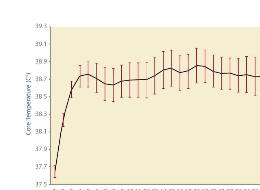 FIGURE 1  Core temperatures during the marathon.