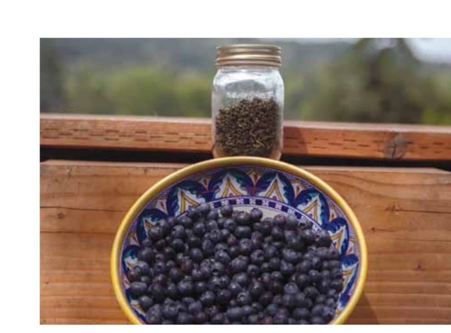 Extracts from blueberries and other fruits are being investigated as ibuprofen substitutes. Studies show that cocktails of fruit and vegetable extracts mitigate exercise-induced inflammation and oxidative stress.