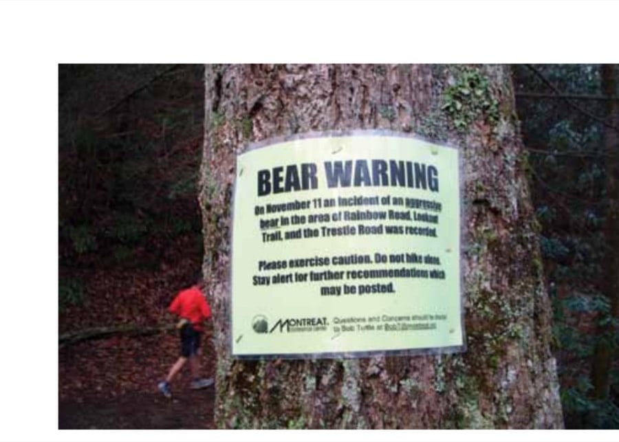 The race begins on pavement from Black Mountain through Montreat, and then it enters the trails. This sign is the first thing you see as you enter the trails.