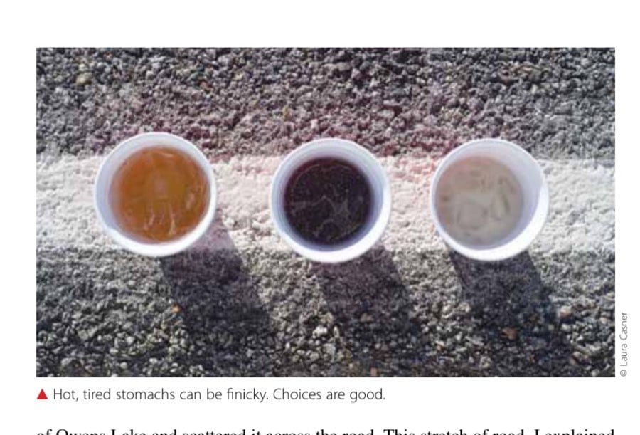 Running The 292-Mile Badwater Double 17 Hot, tired stomachs can be finicky. Choices are good.