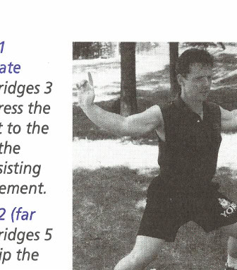 Figure 11 (immediate right): Bridges 3 and 4: press the arms out to the sides of the body, resisting the movement.