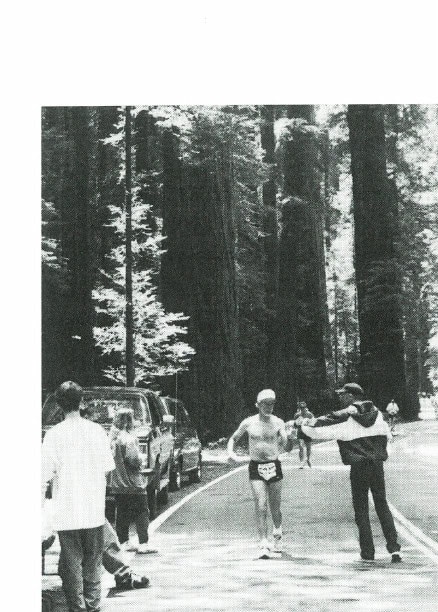 The Avenue of the Giants Marathon takes runners through the heart of redwood country. (Courtesy of Gay Gilchrist)