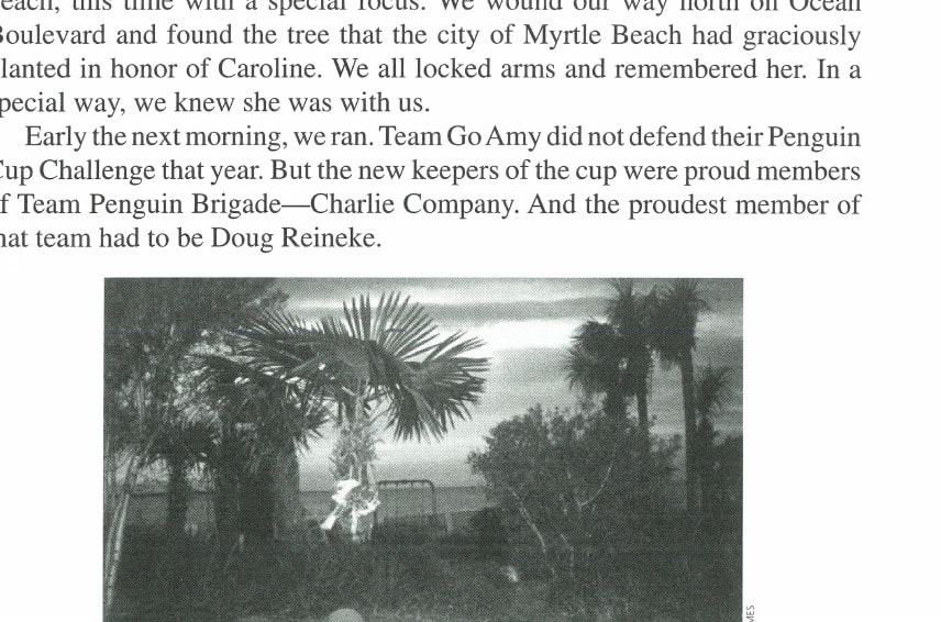Caroline's tree at sunrise on Ocean Boulevard along the Myrtle Beach Marathon course.