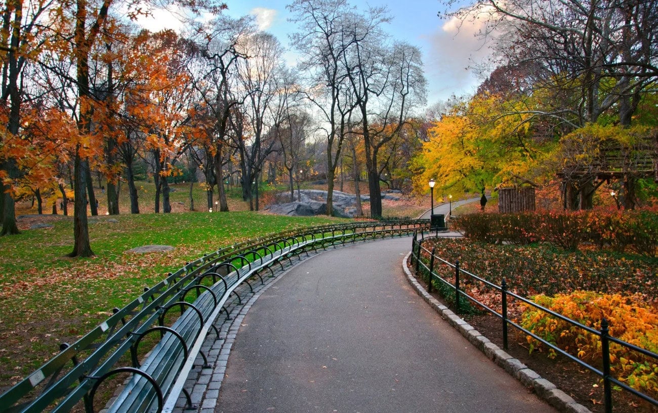 Central Park 