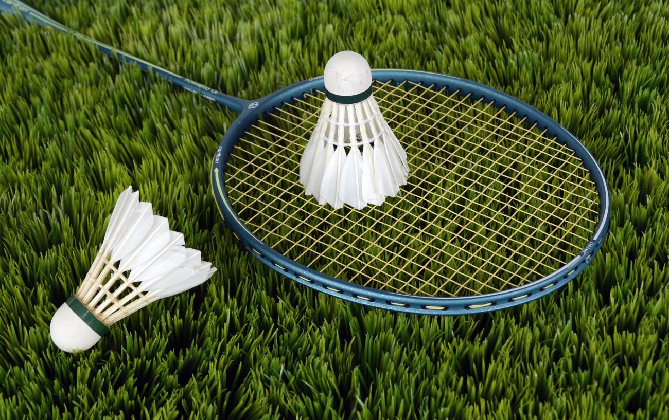 POWER BADMINTON - Play Online for Free!