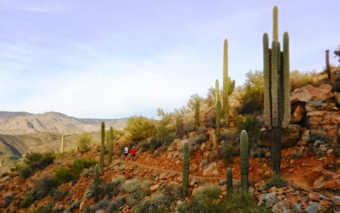 She's 12. She Just Ran 50K. And She Dropped Her Dad Doing It. 3