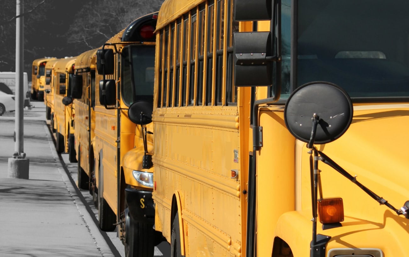 School buses lined up.
