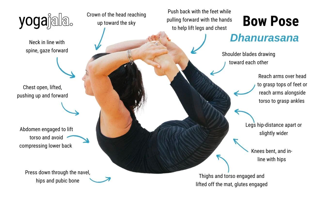 Dhanurasana(Bow Pose): How to Do, Benefits and Precautions - Fitsri Yoga