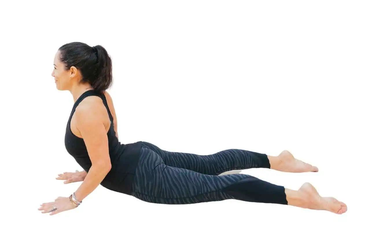 Cobra Pose (Bhujangasana) Instructions & Photos • Yoga Basics