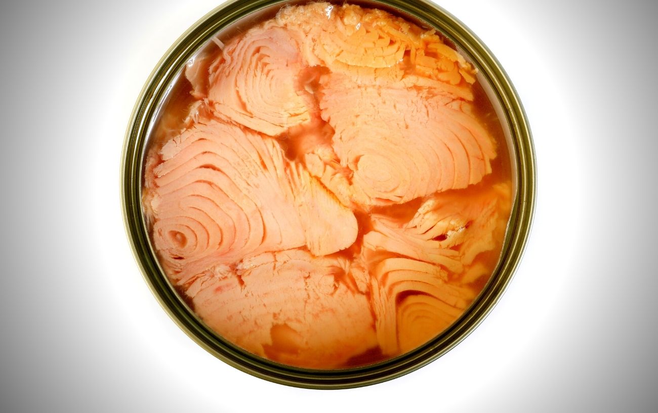Can You Eat Tuna Every Day? Exploring The Safety Of Eating Tuna 2 A can of tuna.