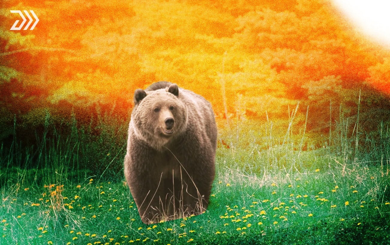 A Brown Bear Attacked an Anchorage Runner Who Was on the Trail Alone 2 A Brown Bear Attacked an Anchorage Runner Who Was on the Trail Alone 2