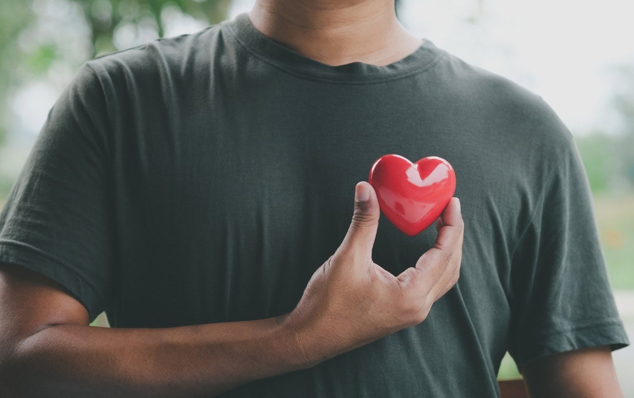 Why Trained Runners' Hearts Don't Have to Work as Hard 1 A person holding up a plastic heart to his chest.