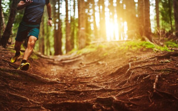 How To Start Trail Running: 6 Tips For Beginners To Get Going