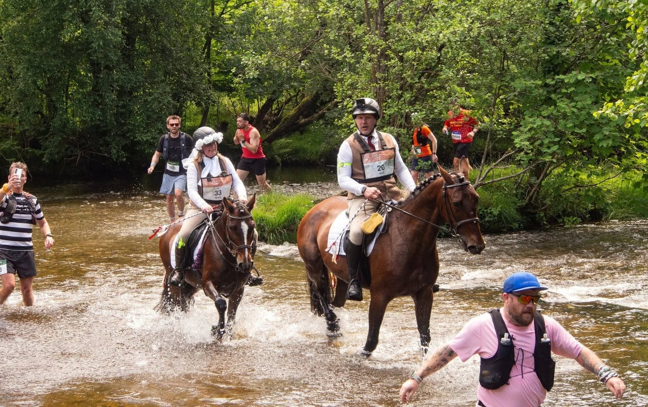 Could You Beat a Horse Racing a Marathon? 2 Could You Beat a Horse Racing a Marathon? 2