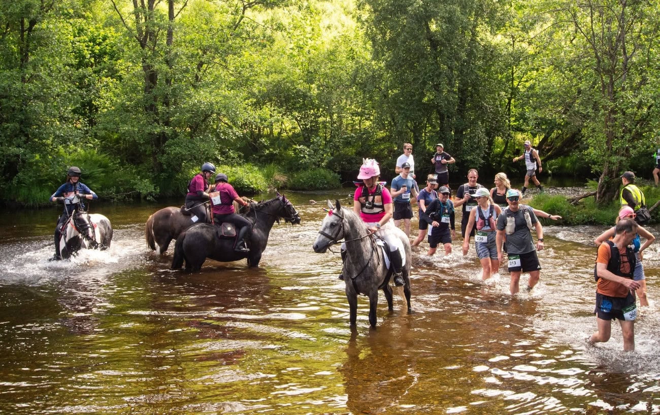 Could You Beat a Horse Racing a Marathon? 4 Could You Beat a Horse Racing a Marathon? 4