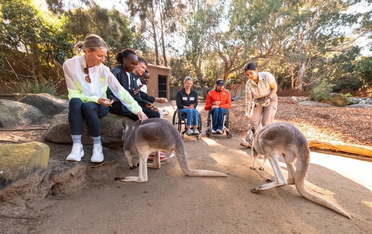 Elites at the zoo.